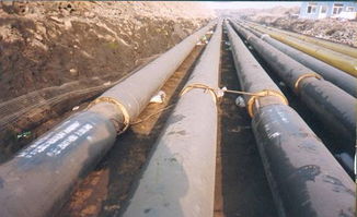 【華管道保溫那專業(yè)】-